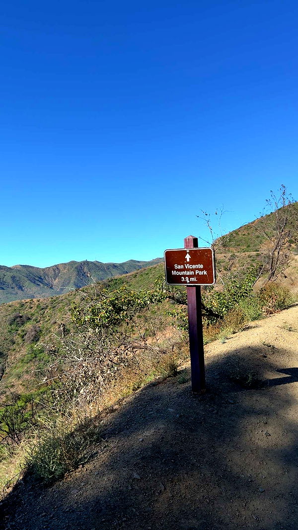 jadelynmusic image ~ Altpins