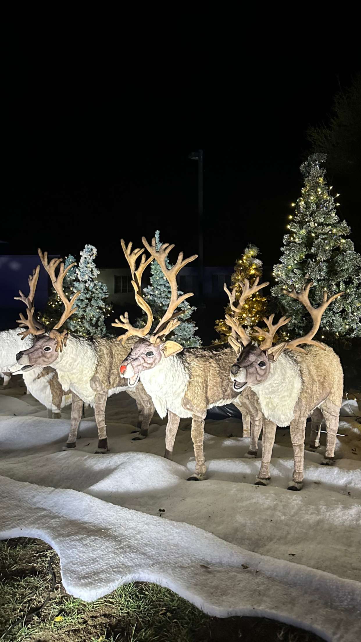 jadelynmusic snapchat image archive image