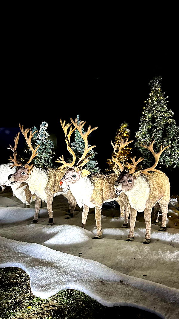 jadelynmusic image ~ Altpins