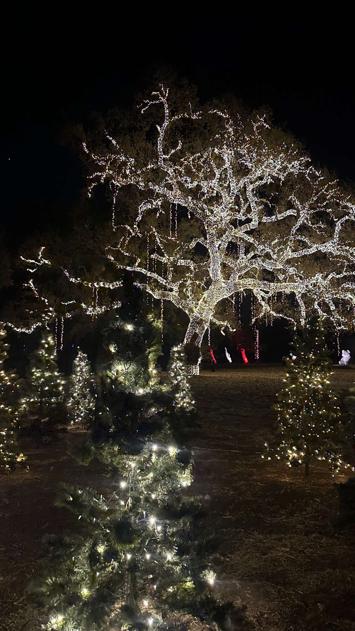 jadelynmusic snapchat image archive image