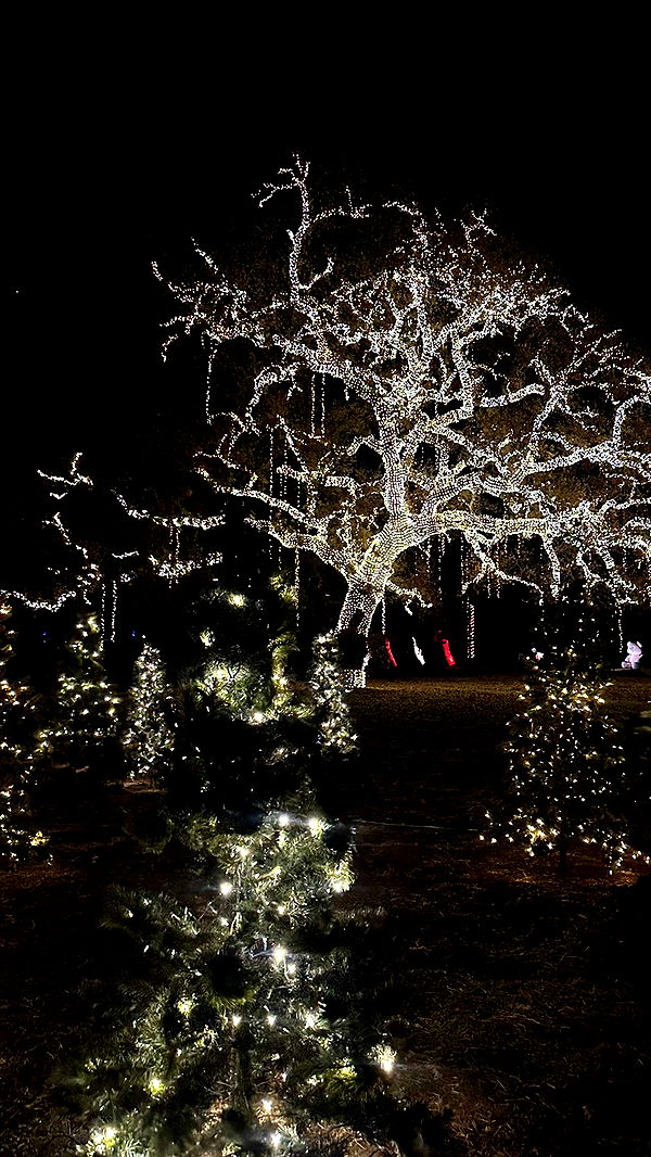 jadelynmusic image ~ Altpins