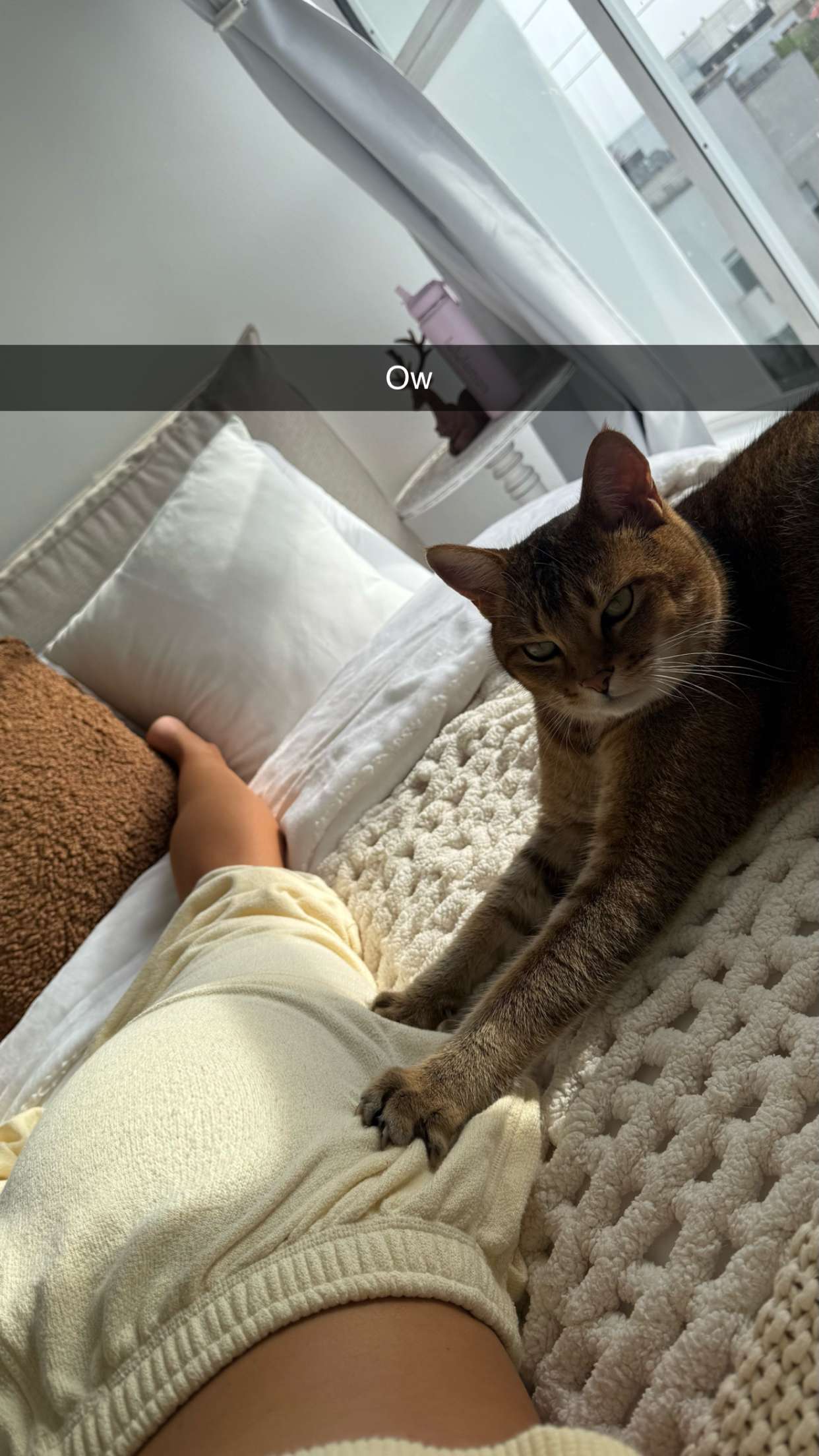 jadelynmusic snapchat image archive image