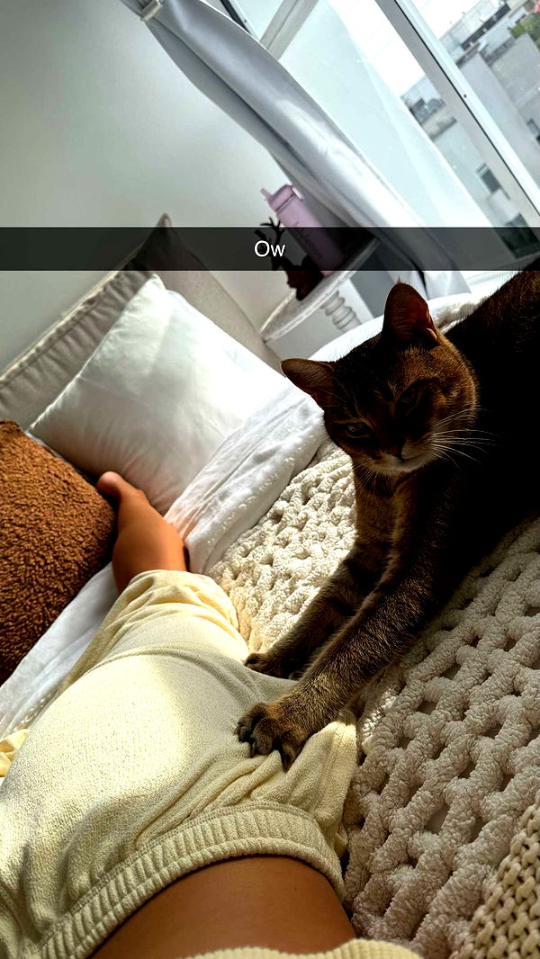 jadelynmusic image ~ Altpins