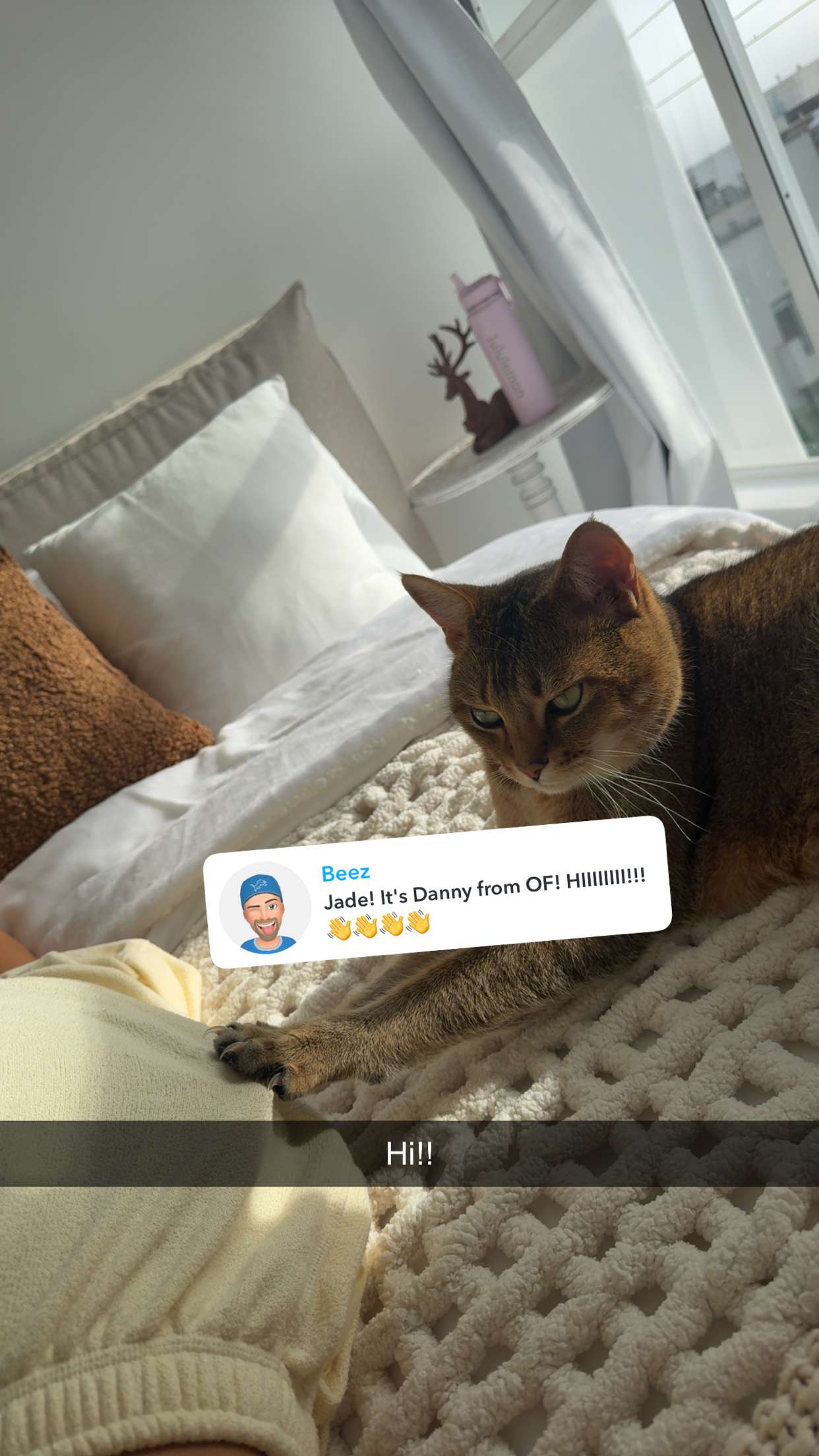 jadelynmusic snapchat image archive image