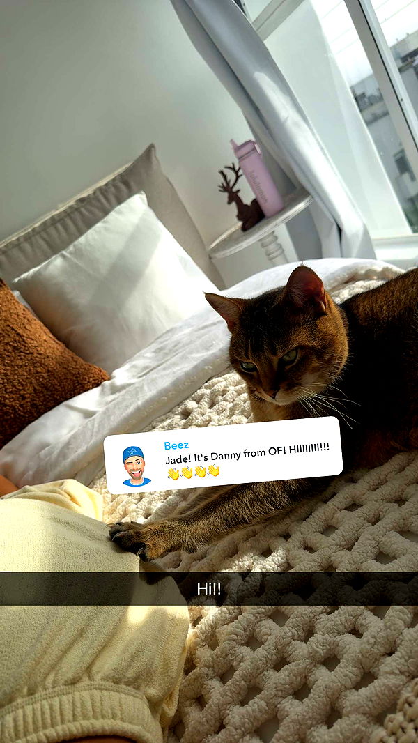 jadelynmusic image ~ Altpins