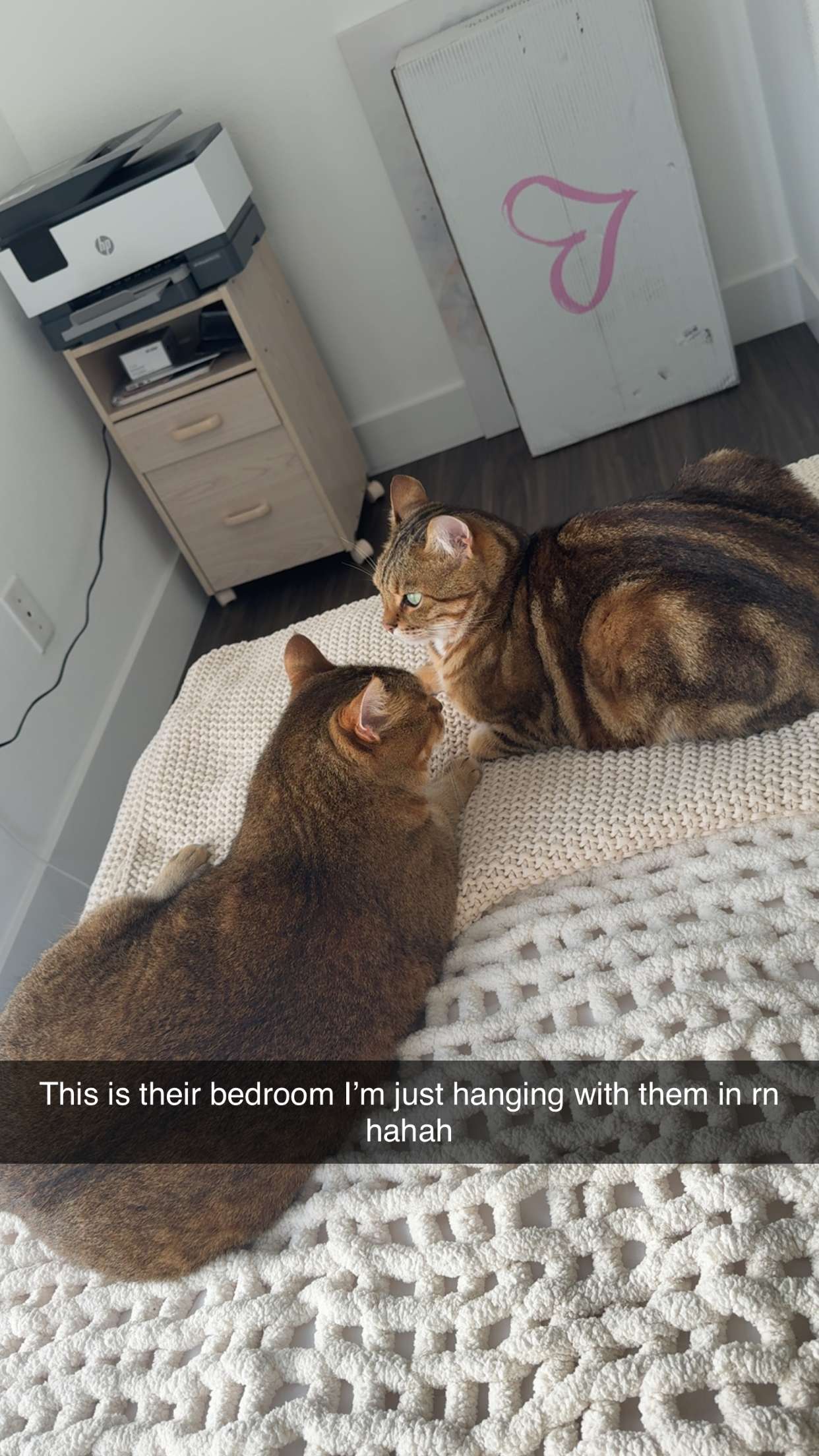 jadelynmusic snapchat image archive image