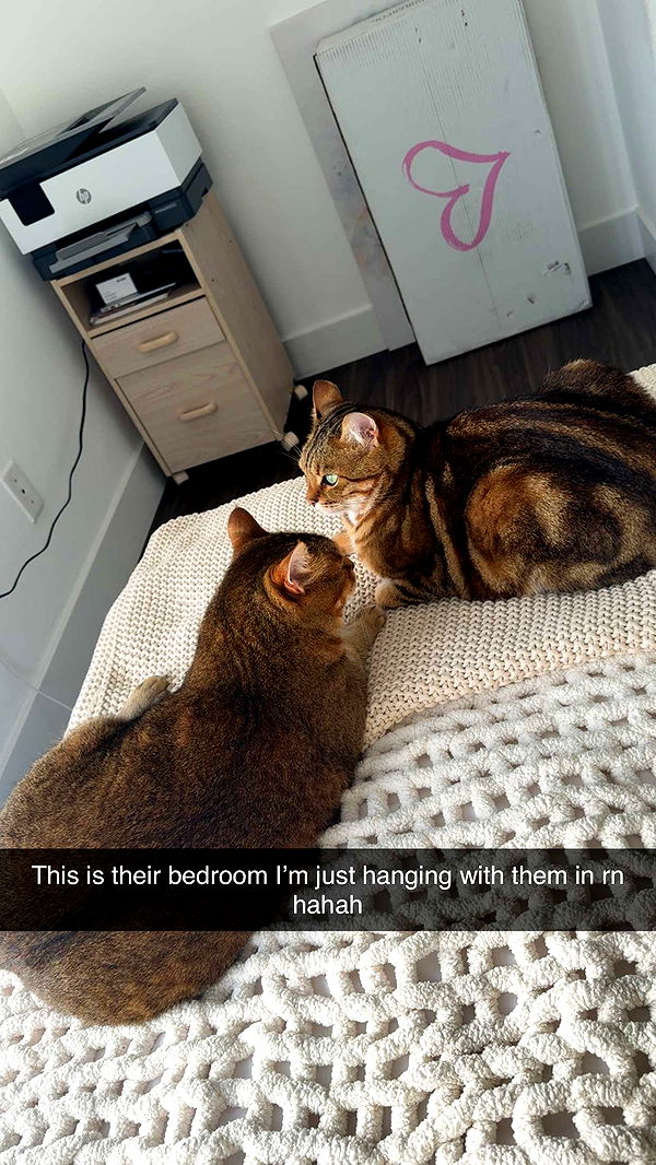 jadelynmusic image ~ Altpins