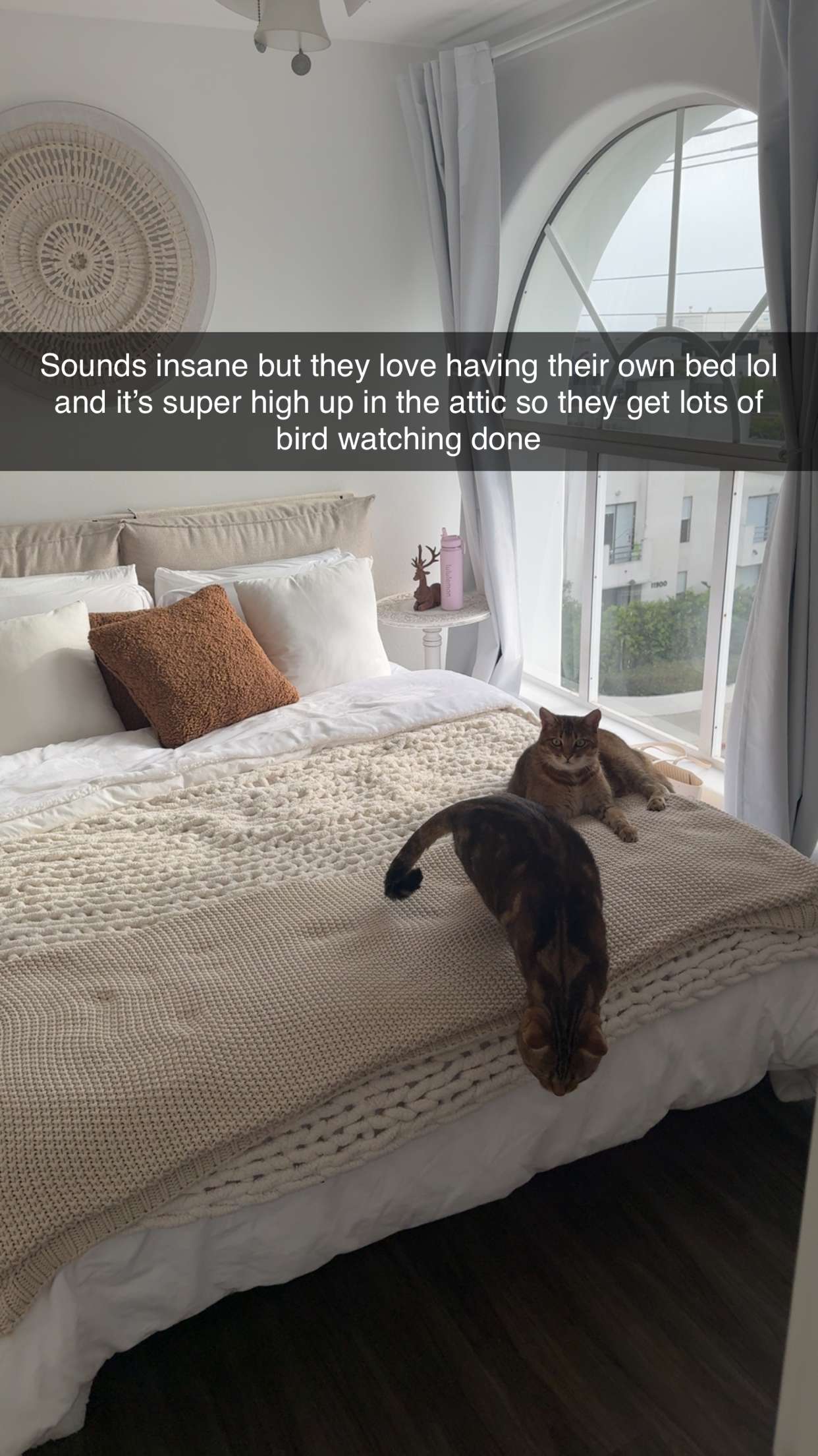 jadelynmusic snapchat image archive image