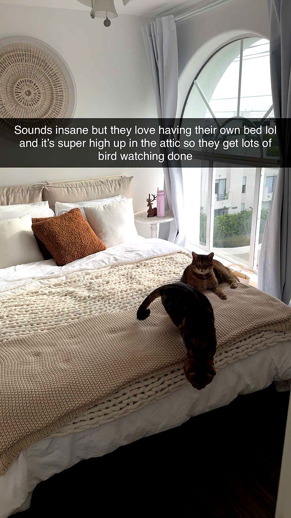 jadelynmusic image ~ Altpins