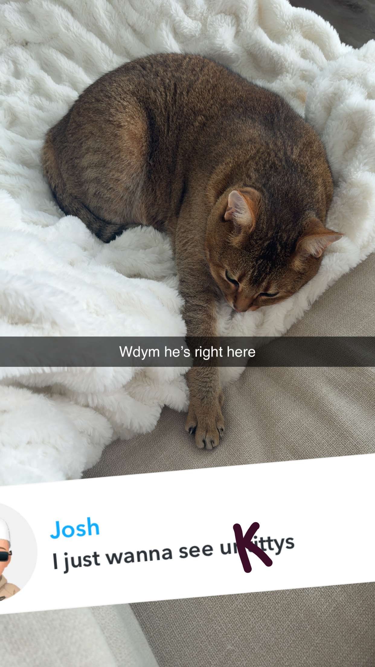 jadelynmusic snapchat image archive image