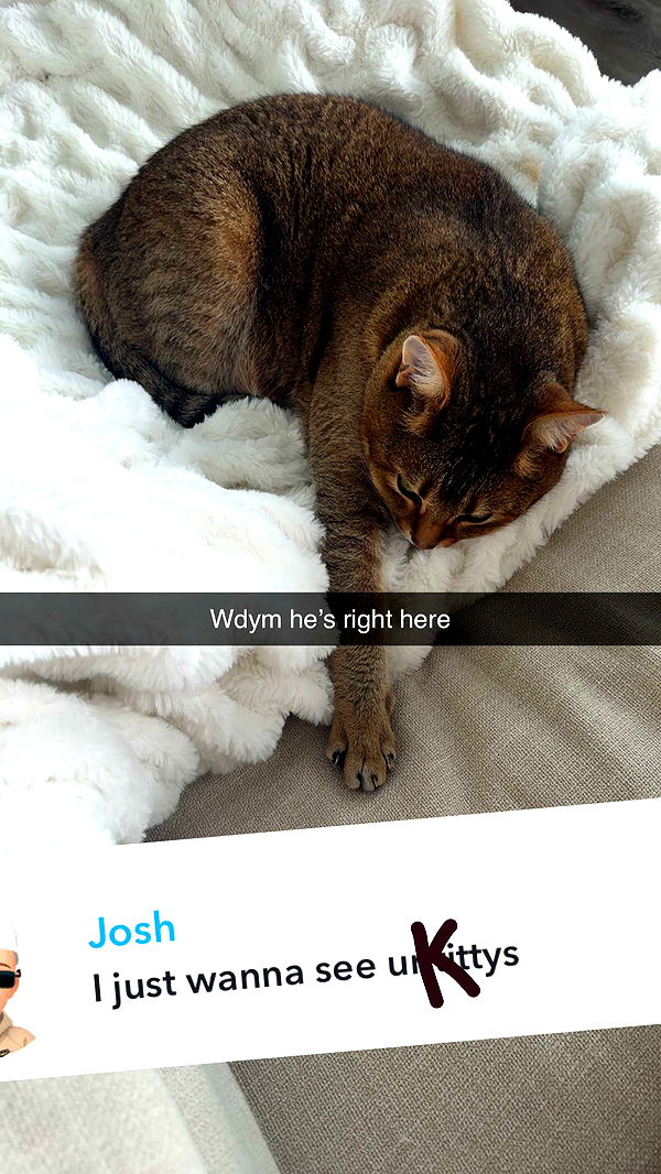 jadelynmusic image ~ Altpins