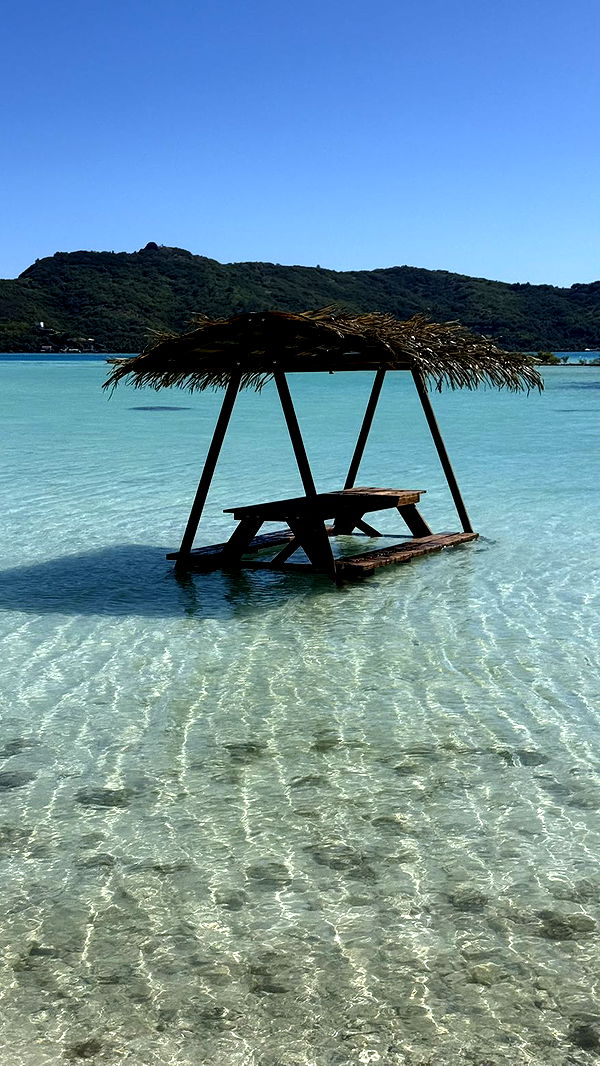 jadelynmusic image ~ Altpins