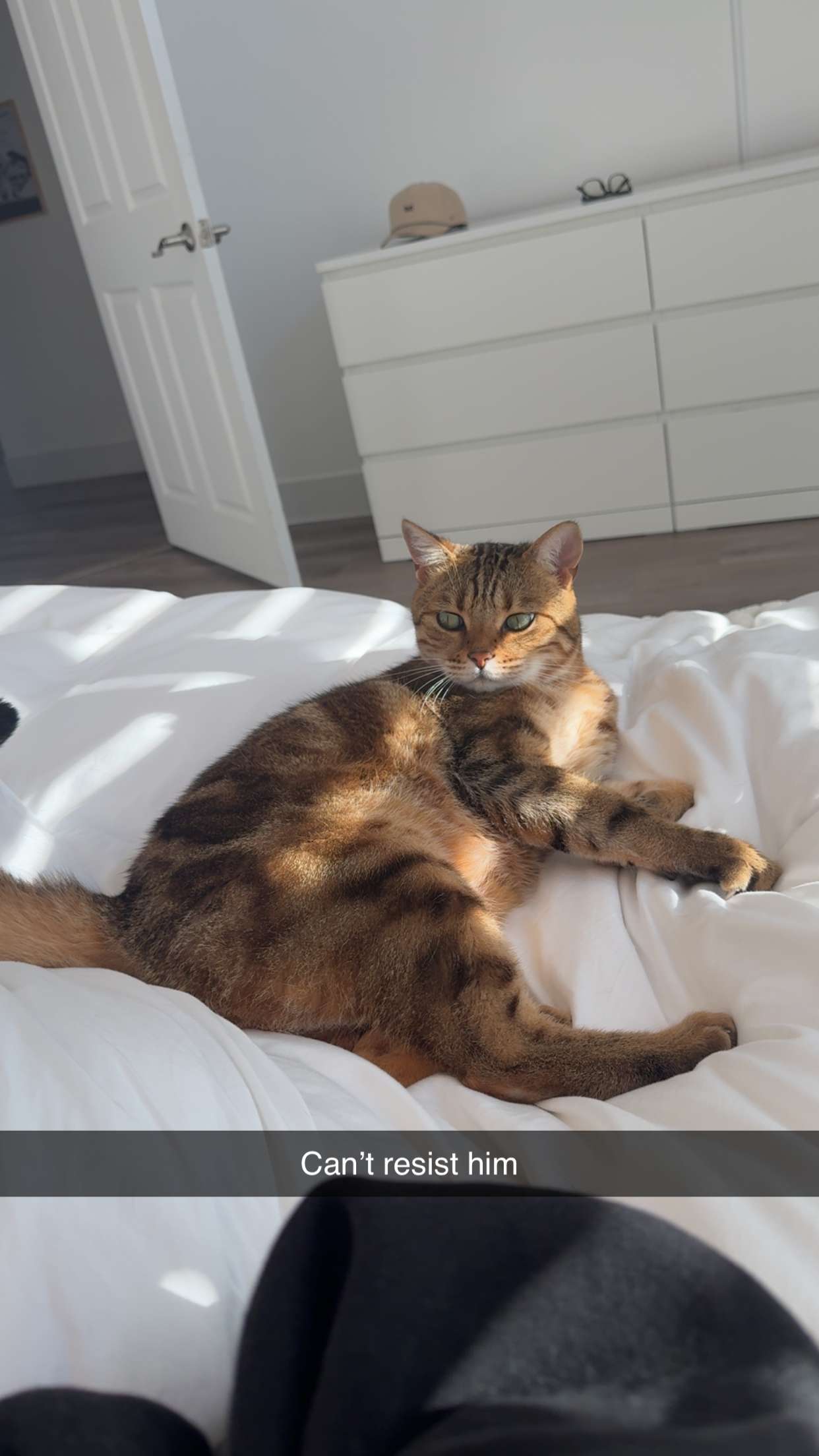 jadelynmusic snapchat image archive image