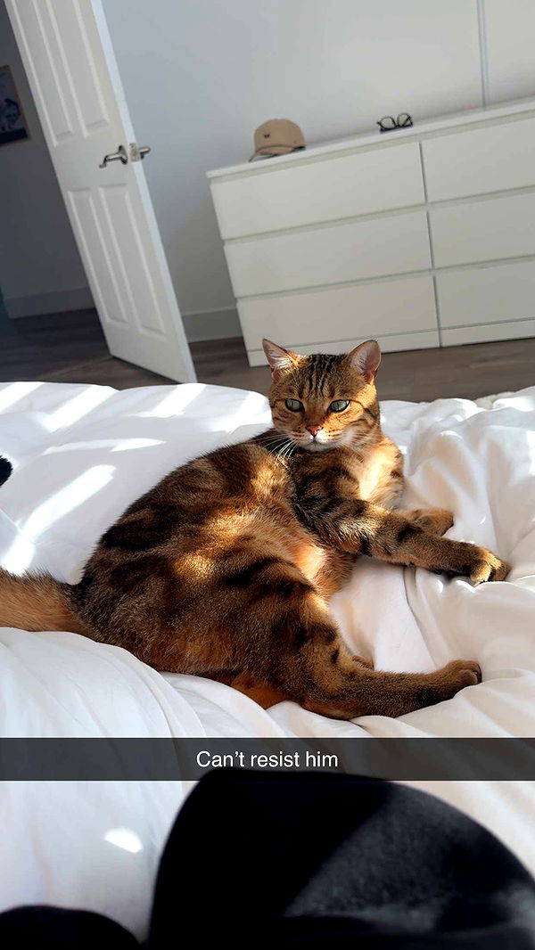 jadelynmusic image ~ Altpins