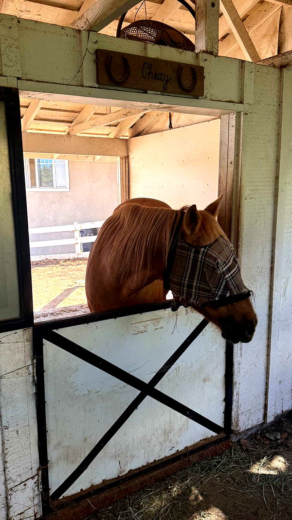 jadelynmusic image ~ Altpins