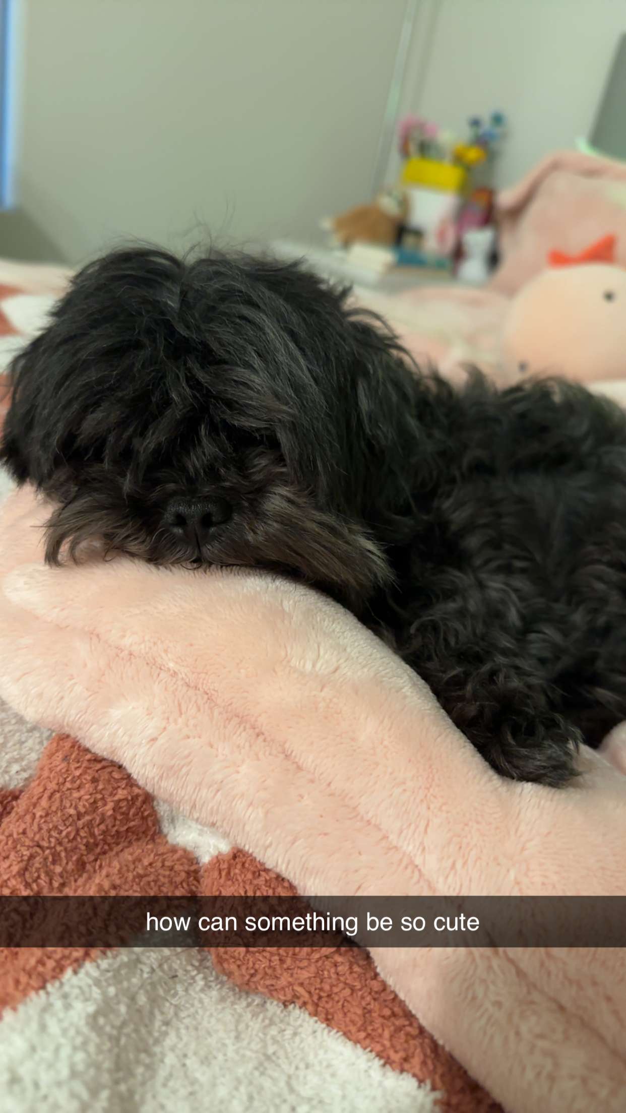 jaynagirl snapchat image archive image