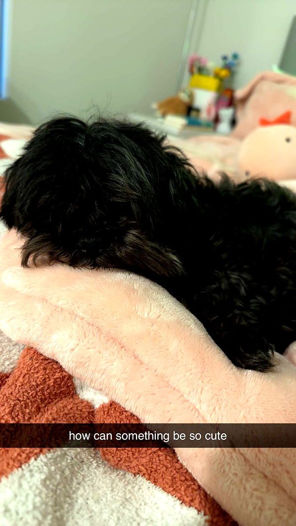 jaynagirl image ~ Altpins