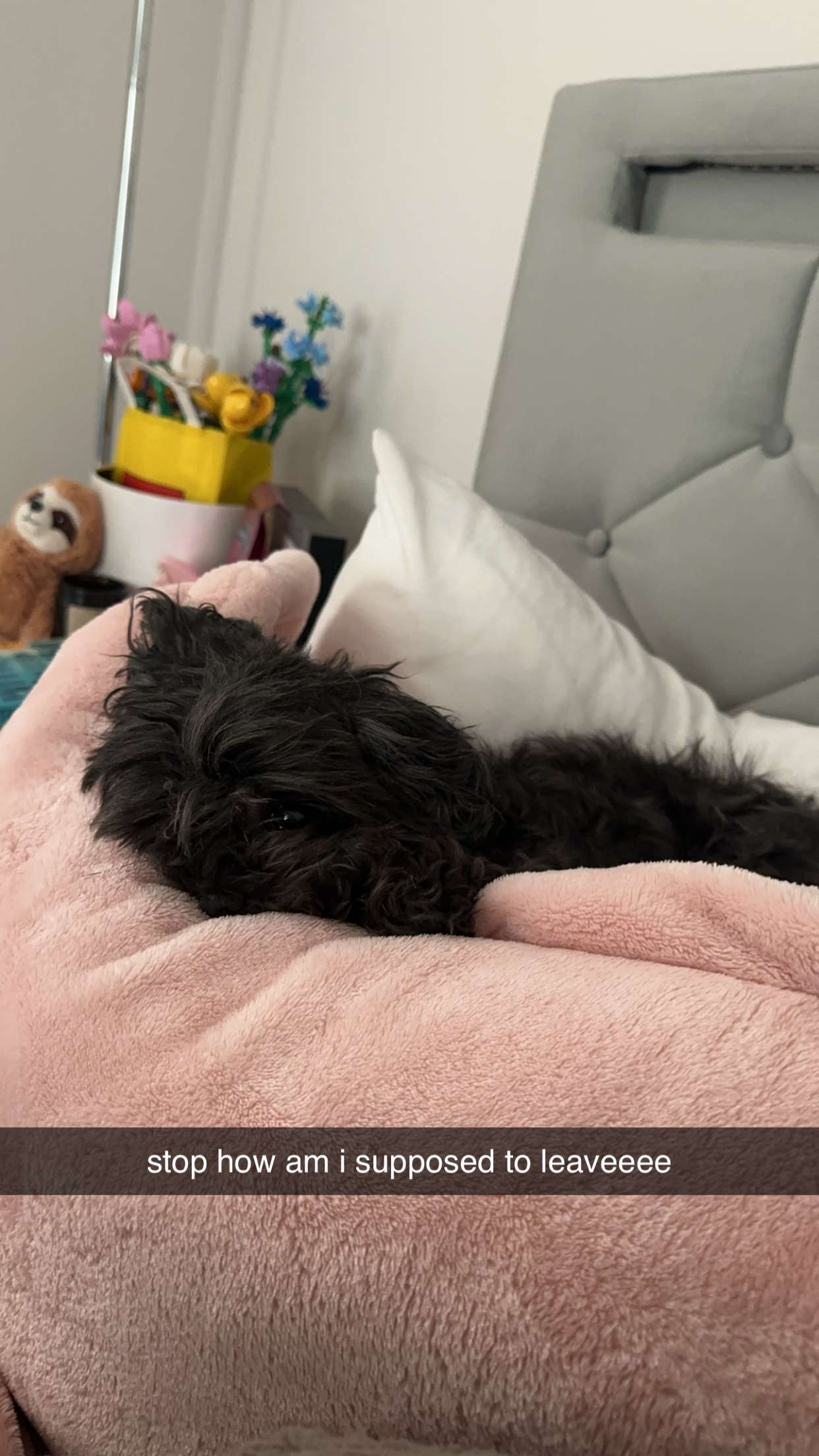 jaynagirl snapchat image archive image