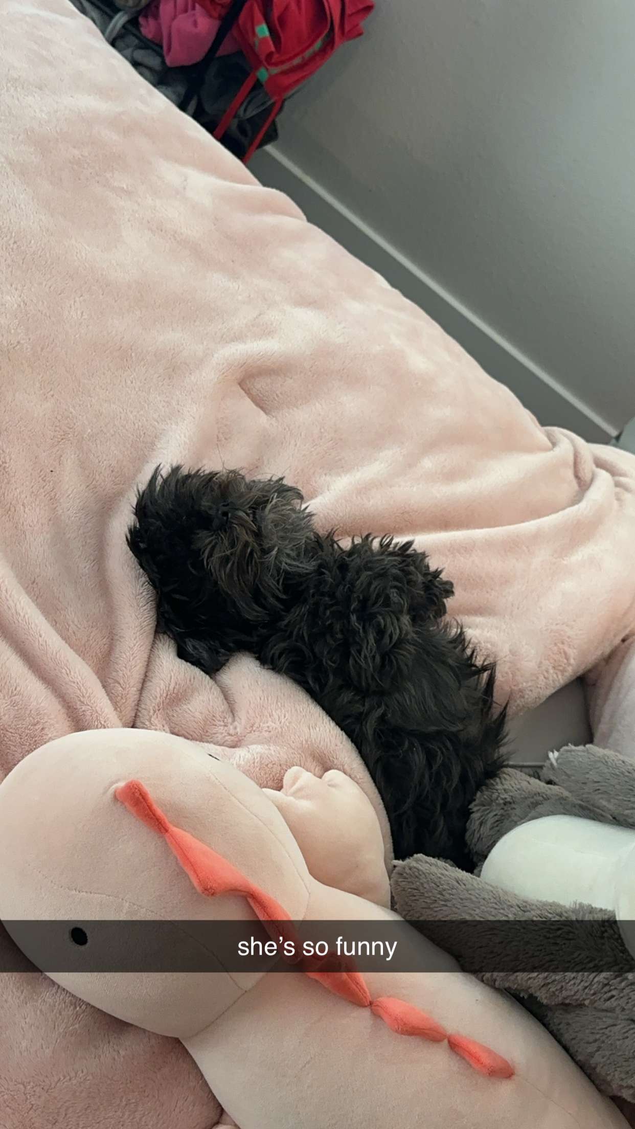 jaynagirl snapchat image archive image