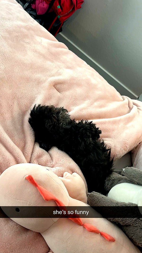 jaynagirl image ~ Altpins