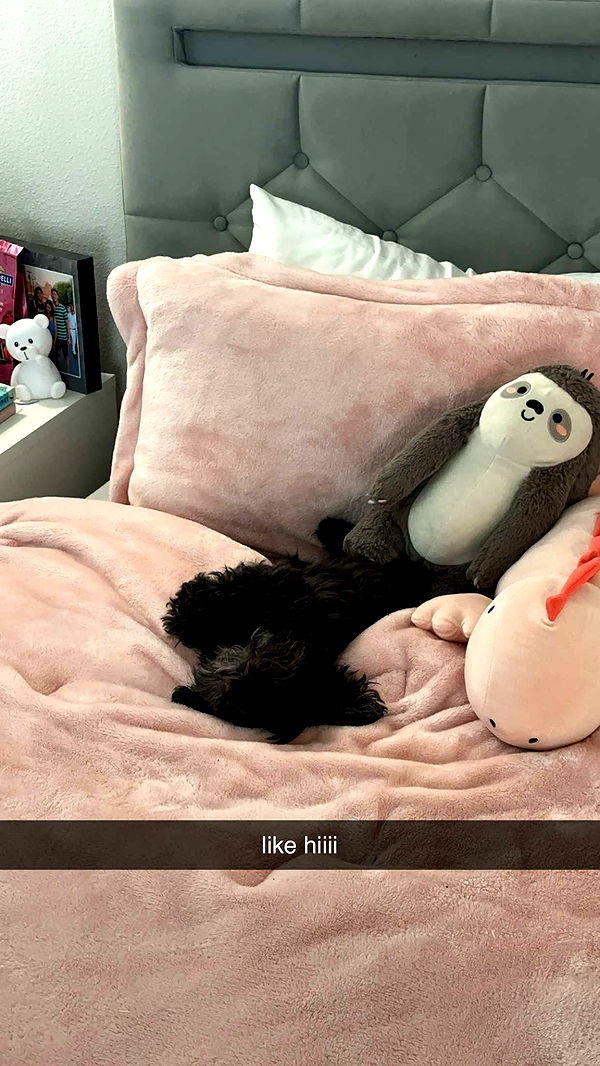 jaynagirl image ~ Altpins