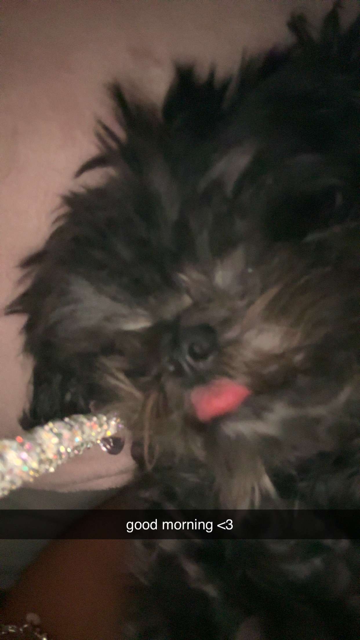 jaynagirl snapchat image archive image