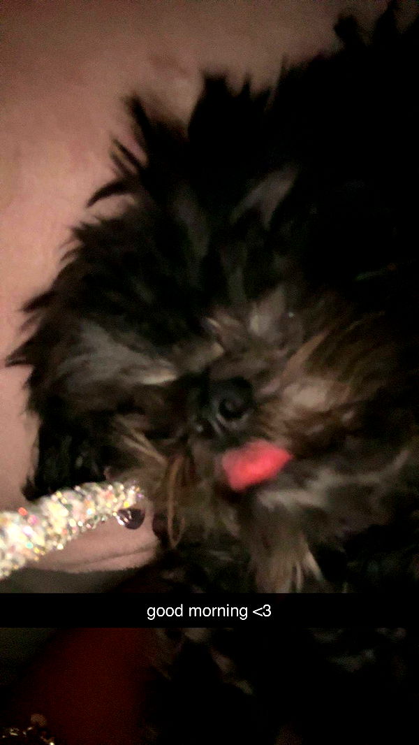 jaynagirl image ~ Altpins