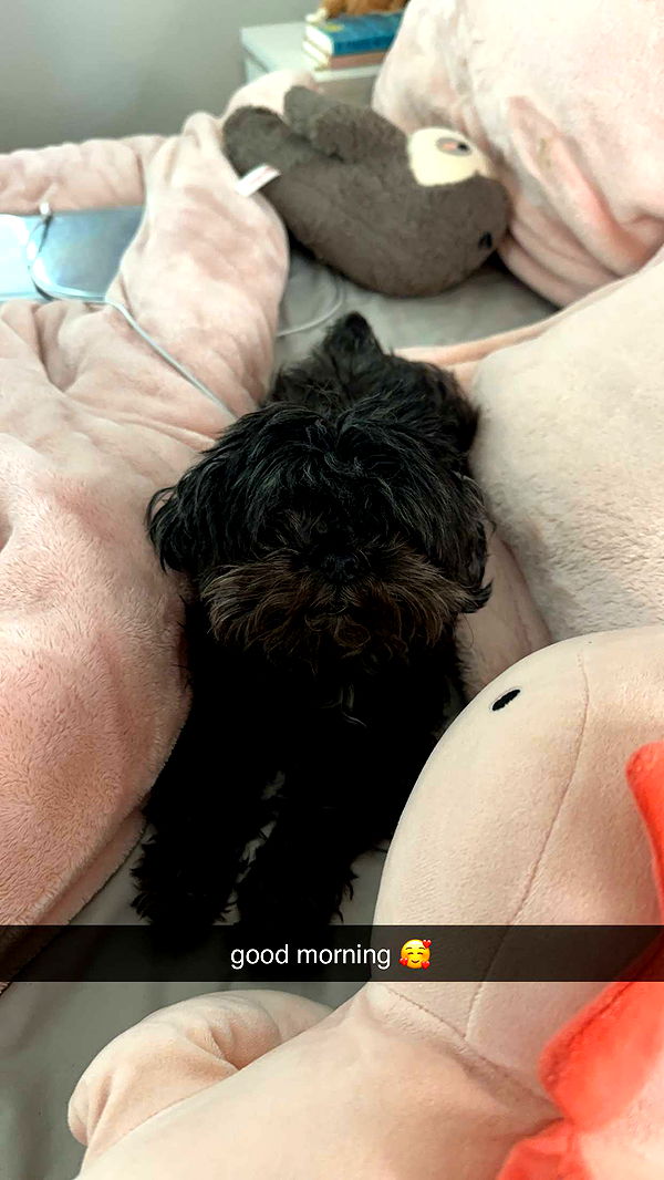 jaynagirl image ~ Altpins