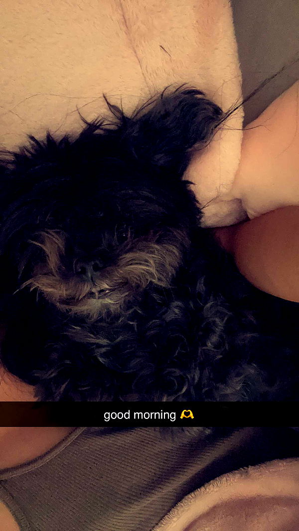 jaynagirl image ~ Altpins