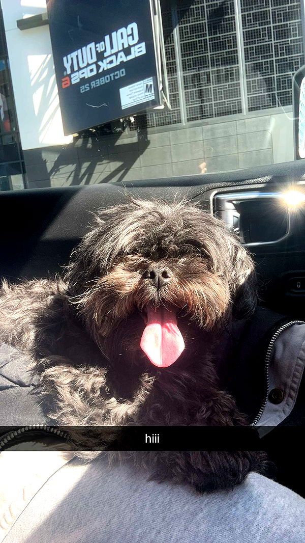 jaynagirl image ~ Altpins