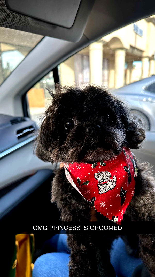 jaynagirl image ~ Altpins