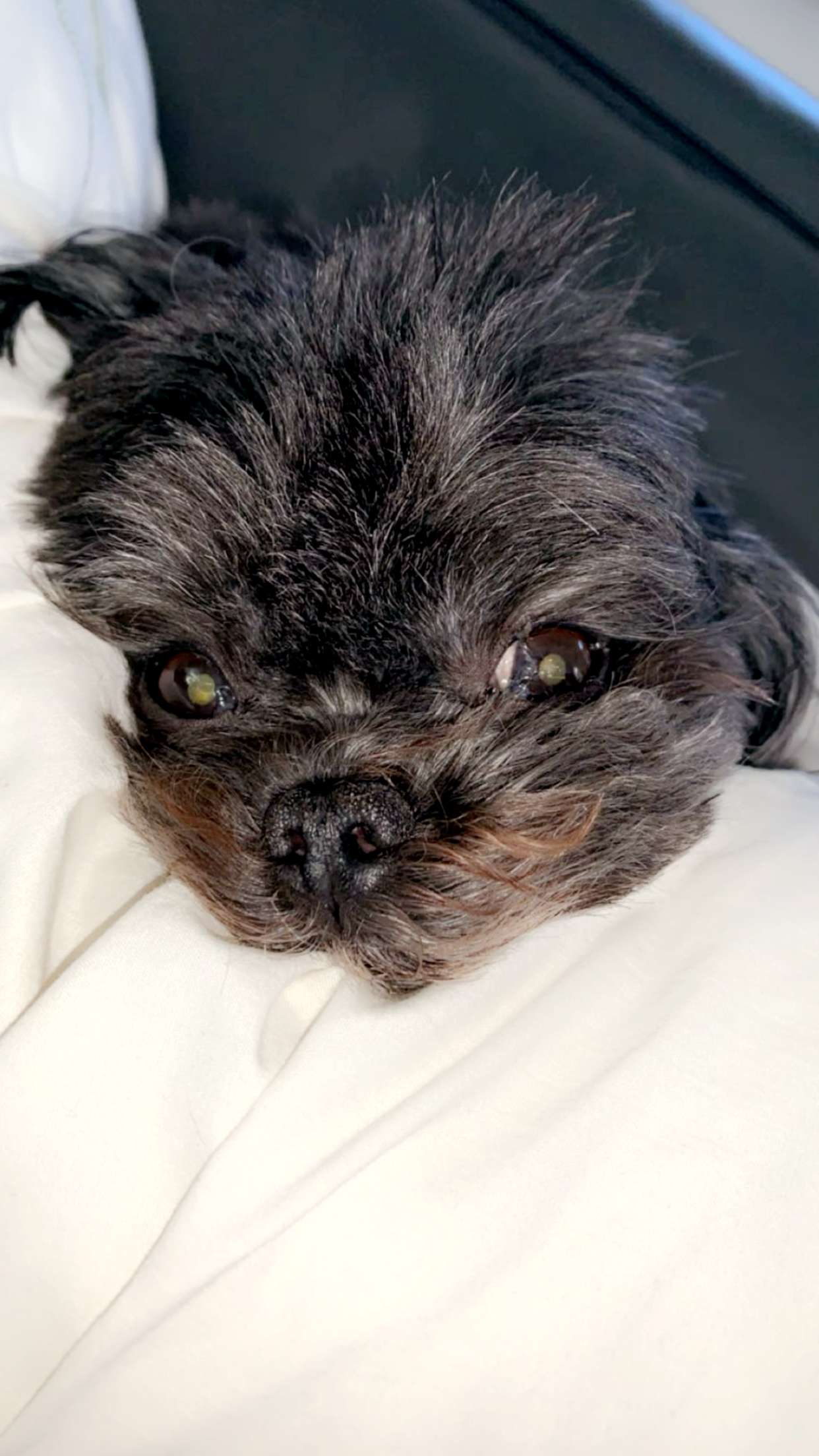 jaynagirl snapchat image archive image