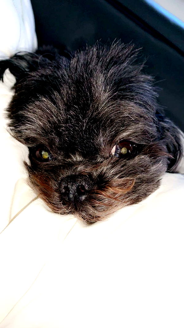 jaynagirl image ~ Altpins