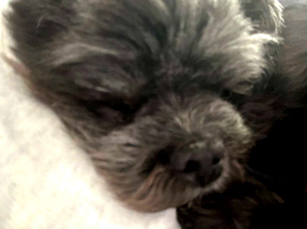 jaynagirl image ~ Altpins