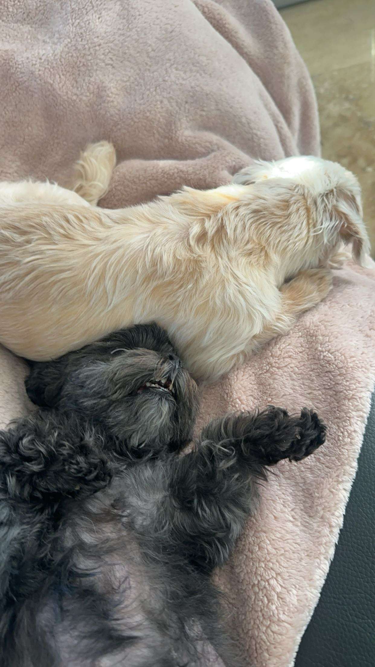 jaynagirl snapchat image archive image