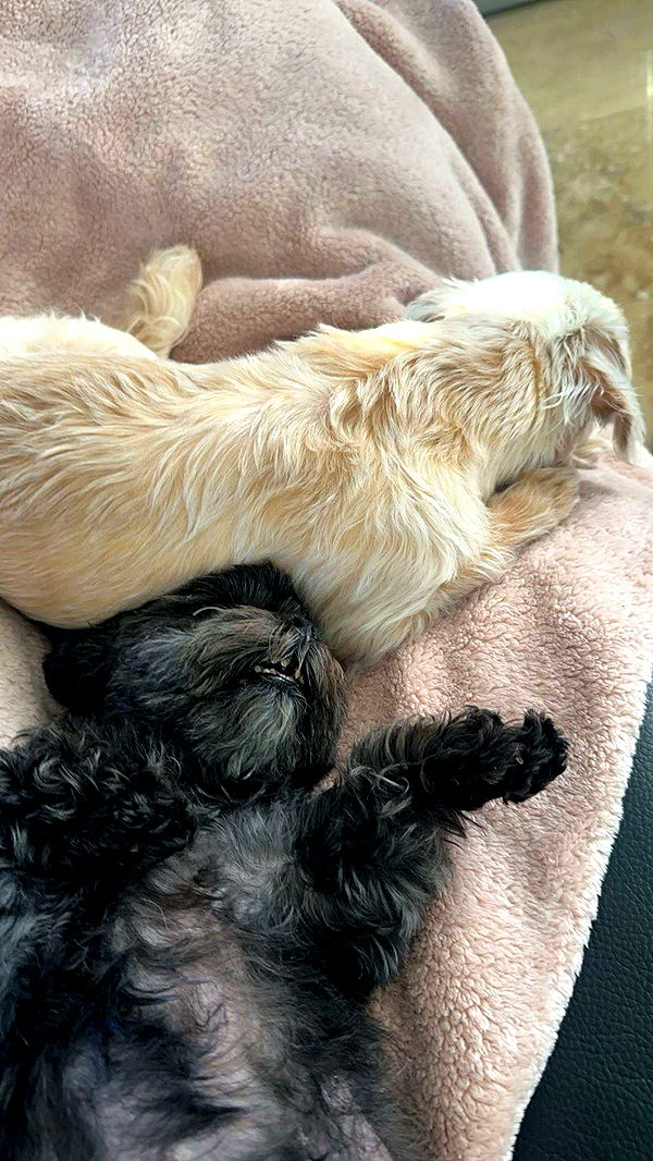 jaynagirl image ~ Altpins