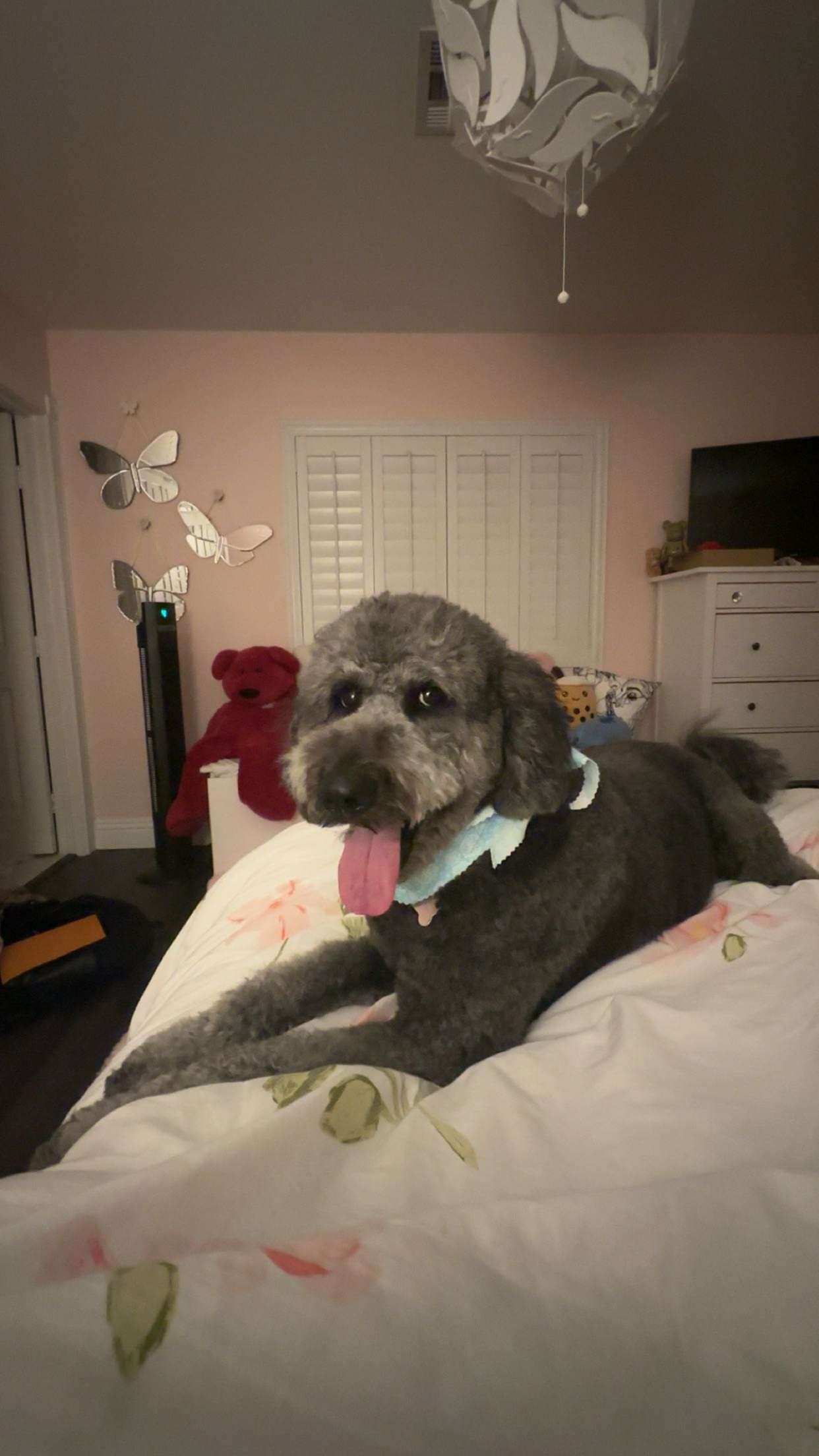 jaynagirl snapchat image archive image