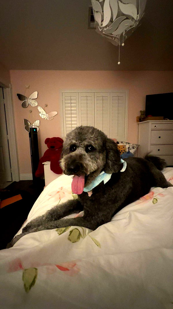 jaynagirl image ~ Altpins