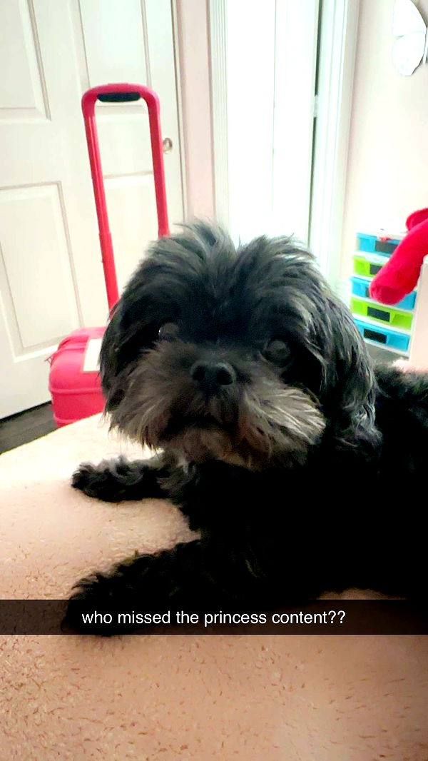 jaynagirl image ~ Altpins