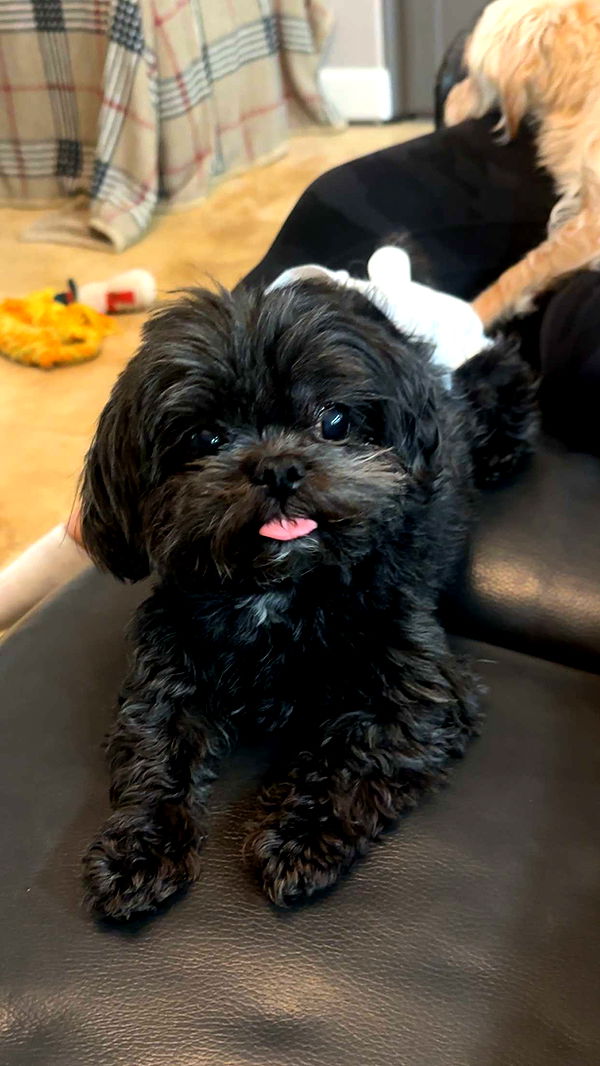 jaynagirl image ~ Altpins