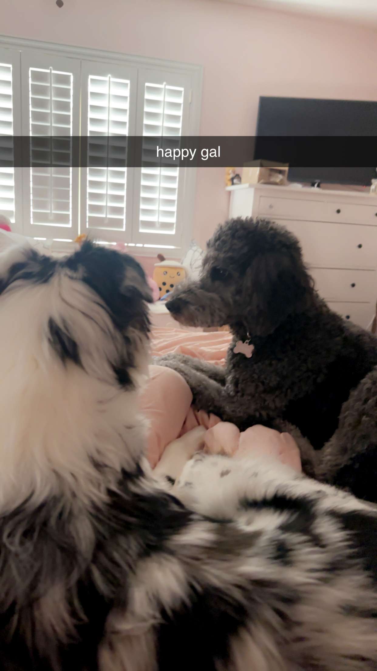 jaynagirl snapchat image archive image