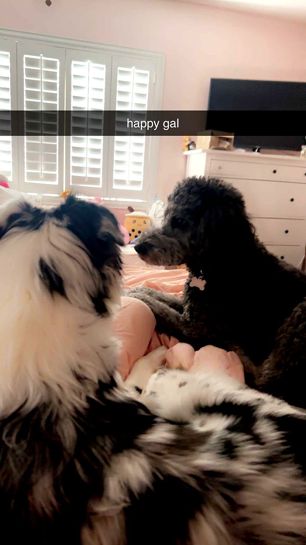 jaynagirl image ~ Altpins