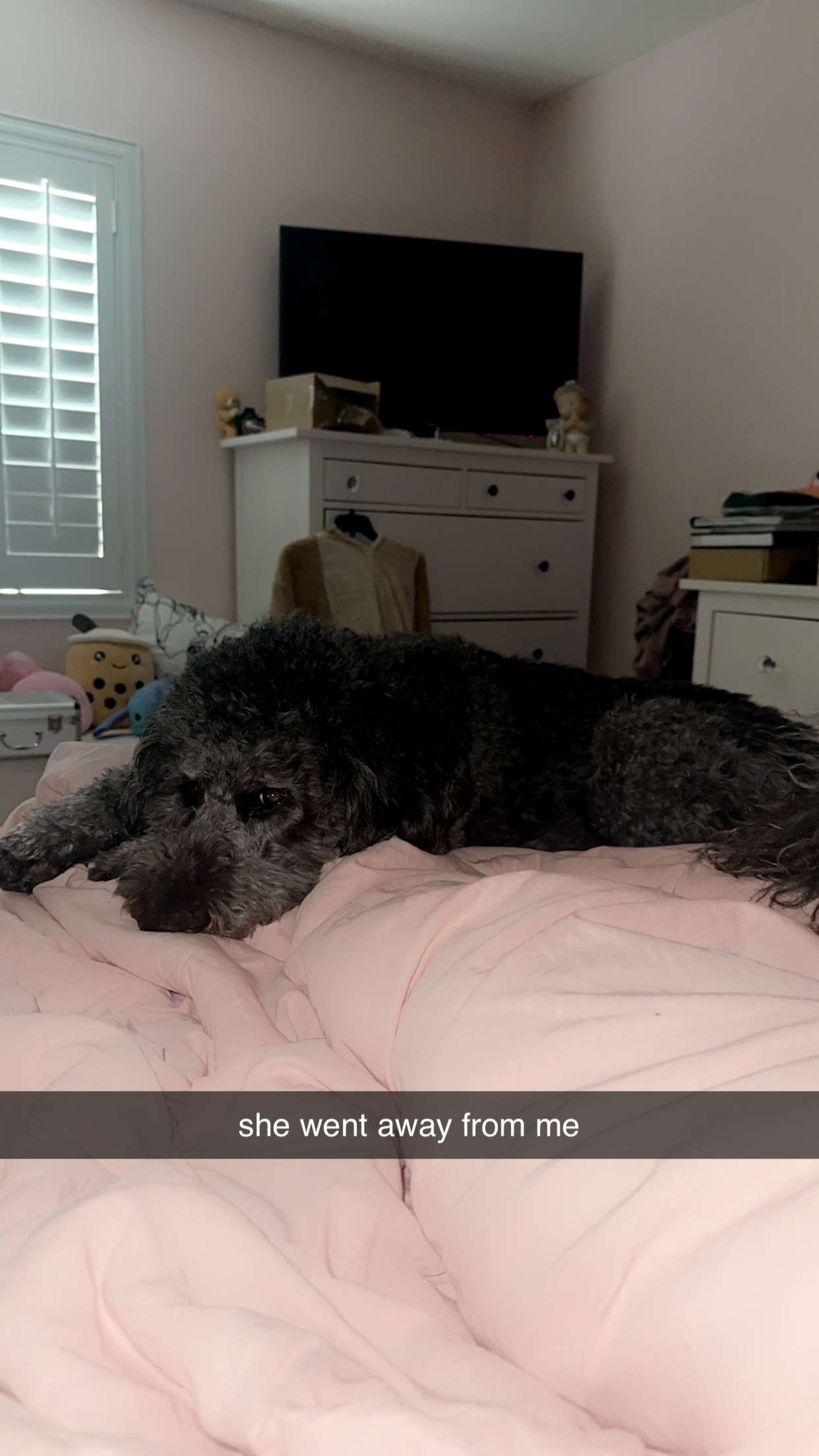 jaynagirl snapchat image archive image