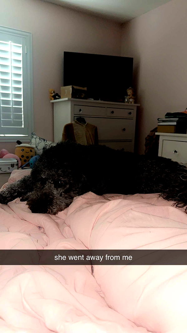 jaynagirl image ~ Altpins