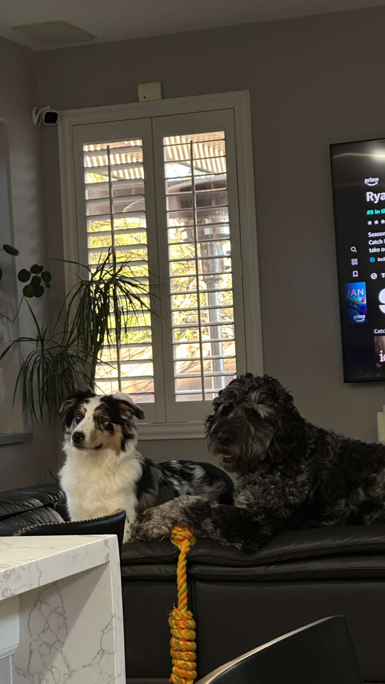 jaynagirl snapchat image archive image