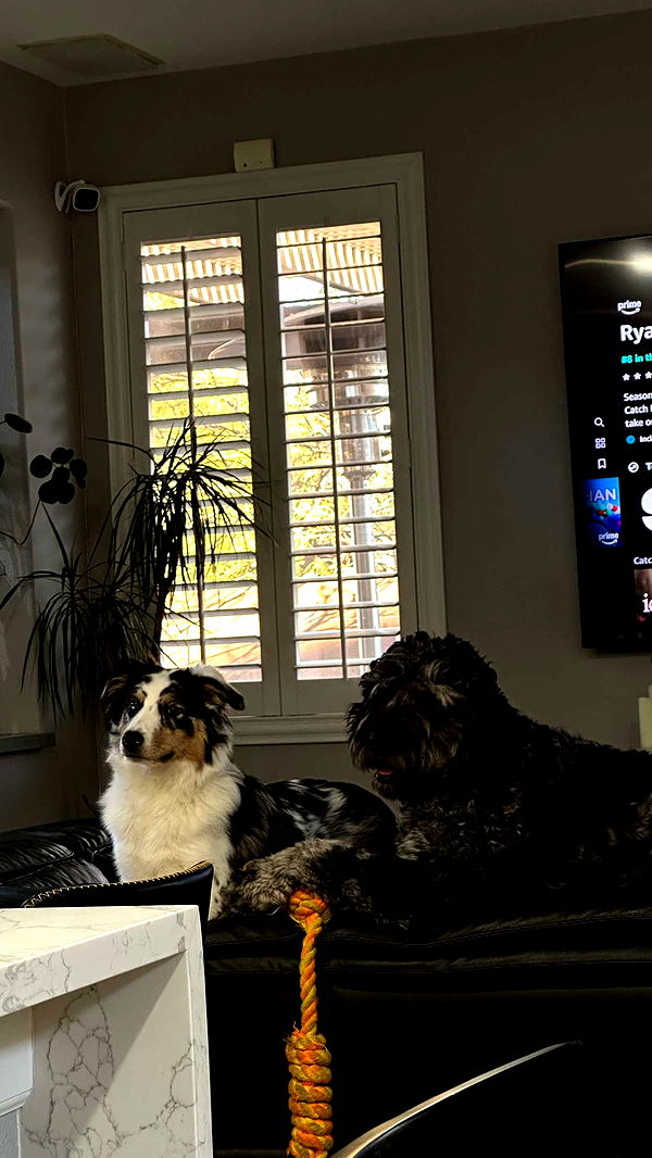 jaynagirl image ~ Altpins