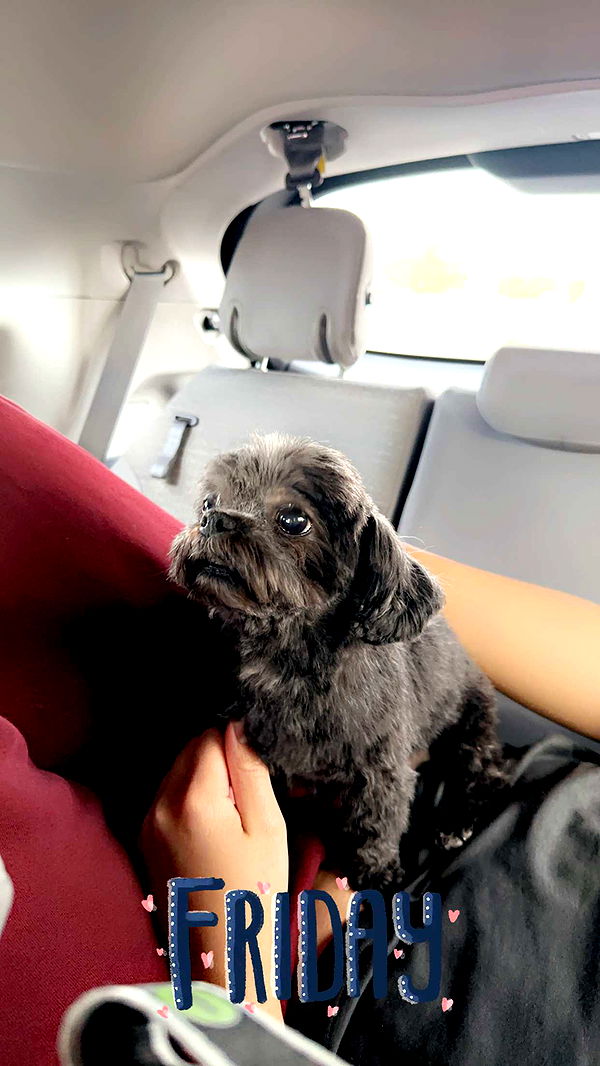 jaynagirl image ~ Altpins