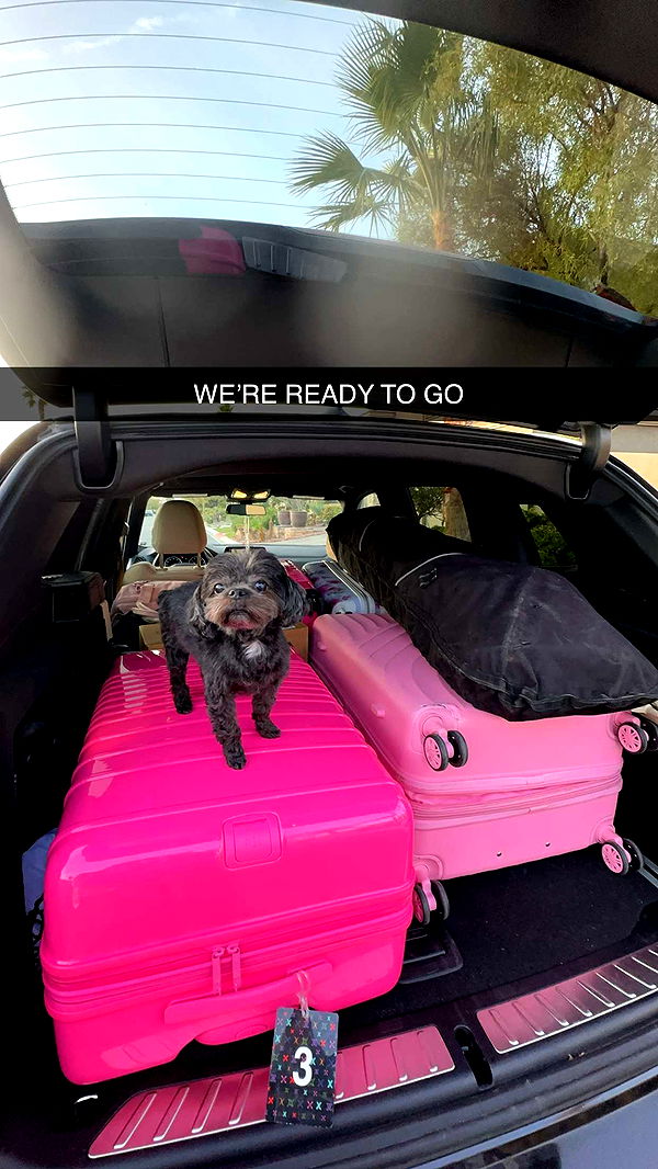 jaynagirl image ~ Altpins