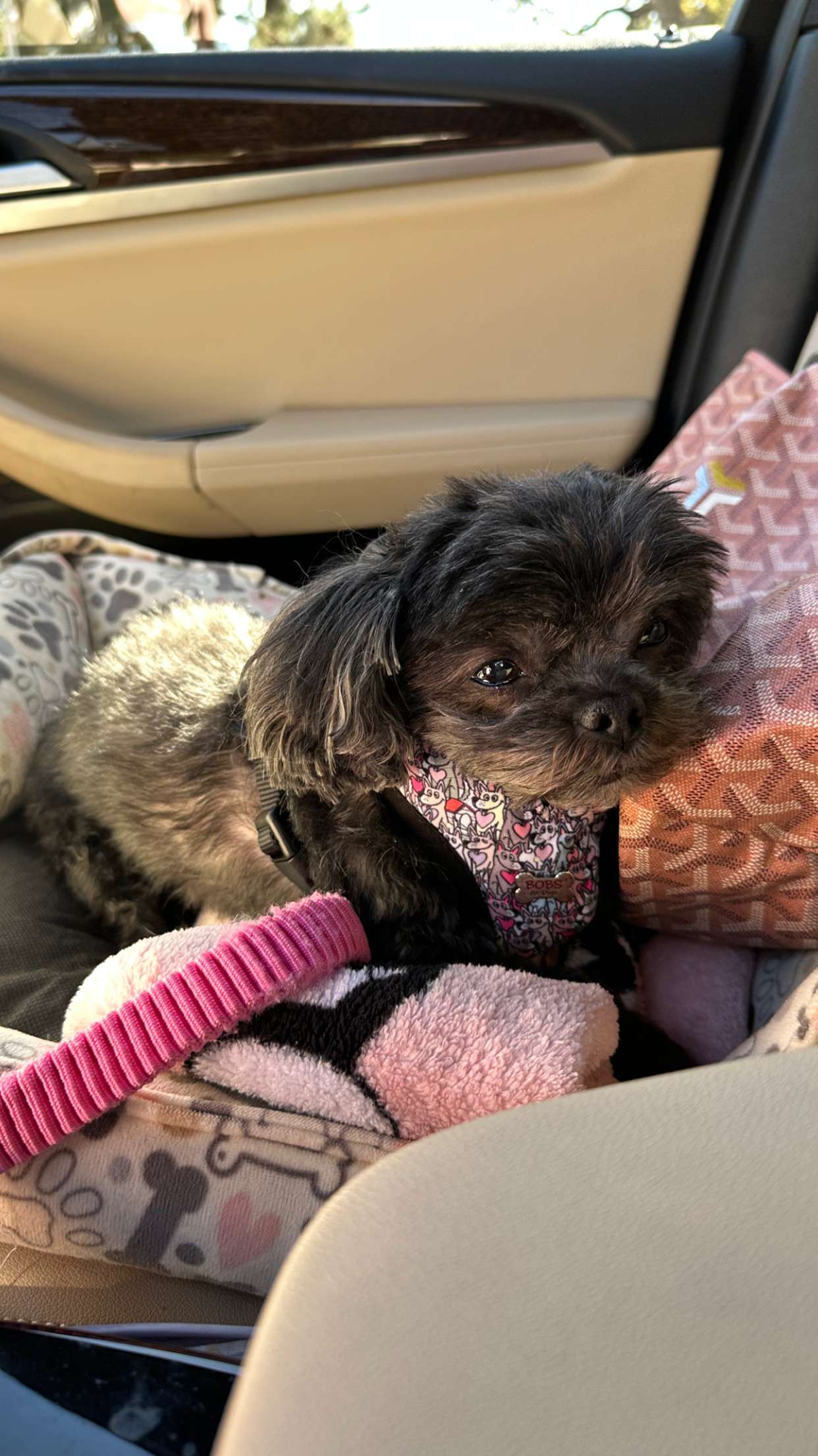 jaynagirl snapchat image archive image