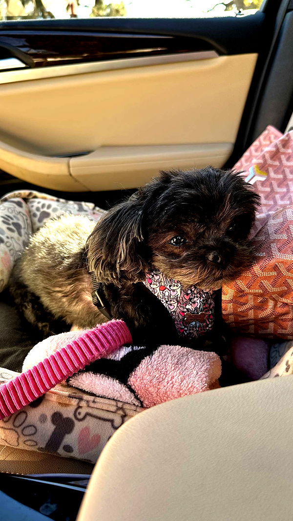 jaynagirl image ~ Altpins